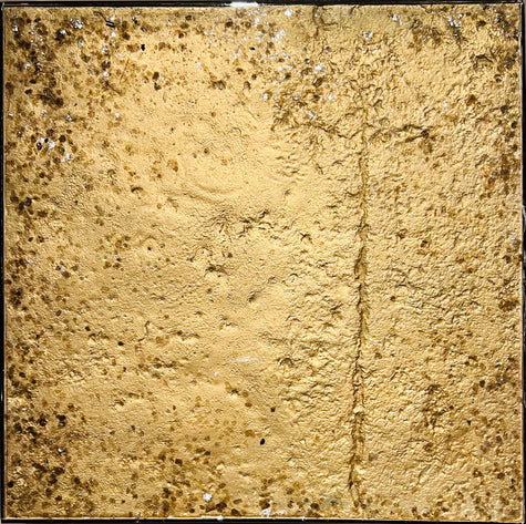 Substance ADN 01
